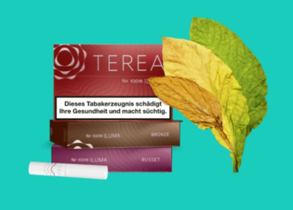 d-m-grid-2-discover-terea-with-leaf